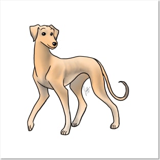 Dog  - Saluki - Smooth Coated Fawn Posters and Art